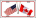 buy usa canada license plate