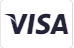 Visa Seal